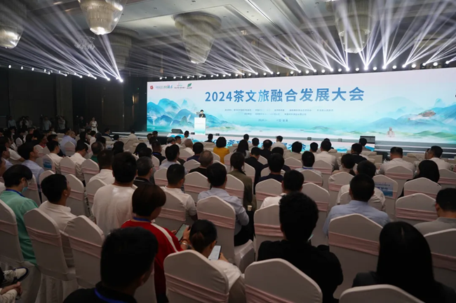 2024茶文旅融合发展大会现场。叶超摄
