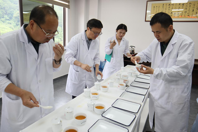尤溪县第十六届茶叶鉴评会上，评委们正在品评茶样。