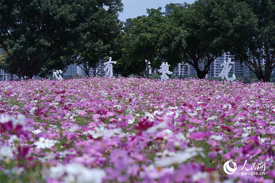 “心有繁花，一路芳華”。人民網記者 蘭志飛攝