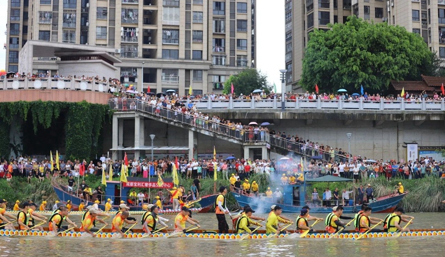 龍舟競渡吸引了眾多市民游客觀看。