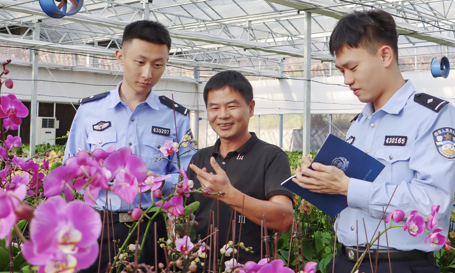 泉州市公安局森林警察支队联合泉州市公安局洛江分局马甲派出所民警深入马甲镇永安村蝴蝶兰基地,向农户详细了解花卉产业情况。廖品晶摄