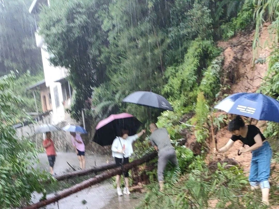 清理被雨水冲倒的树木