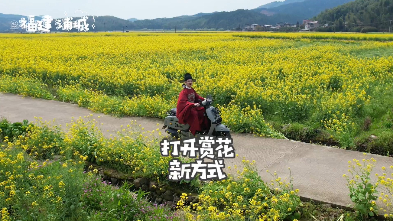 万亩花海诗画浦城
