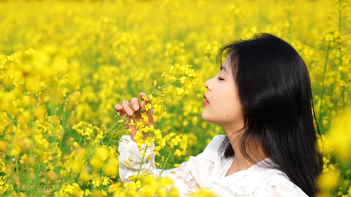 浦城，一个梦笔生花的地方
