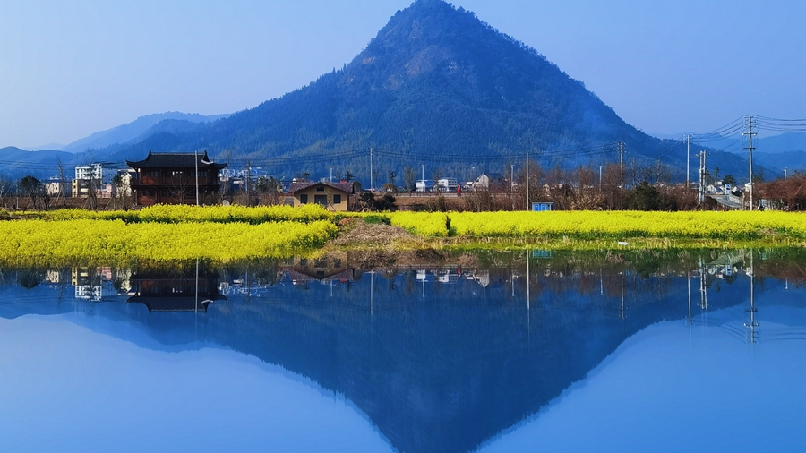 春光如画
