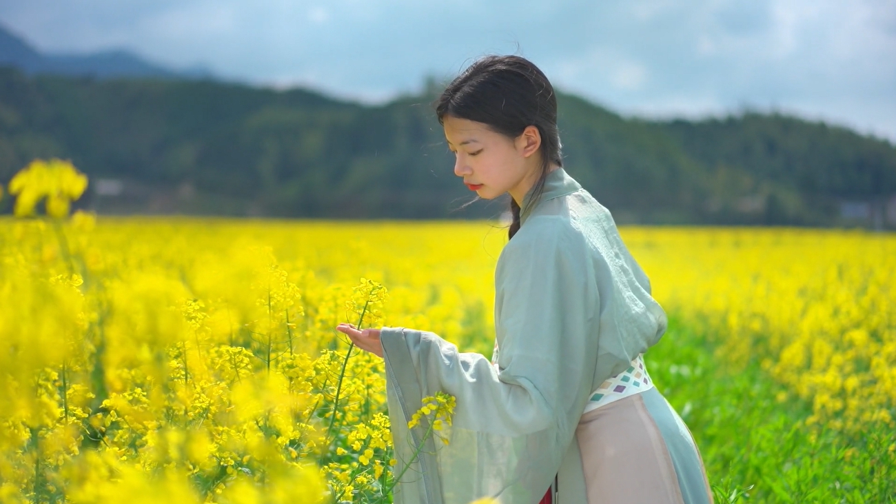 古韵花影