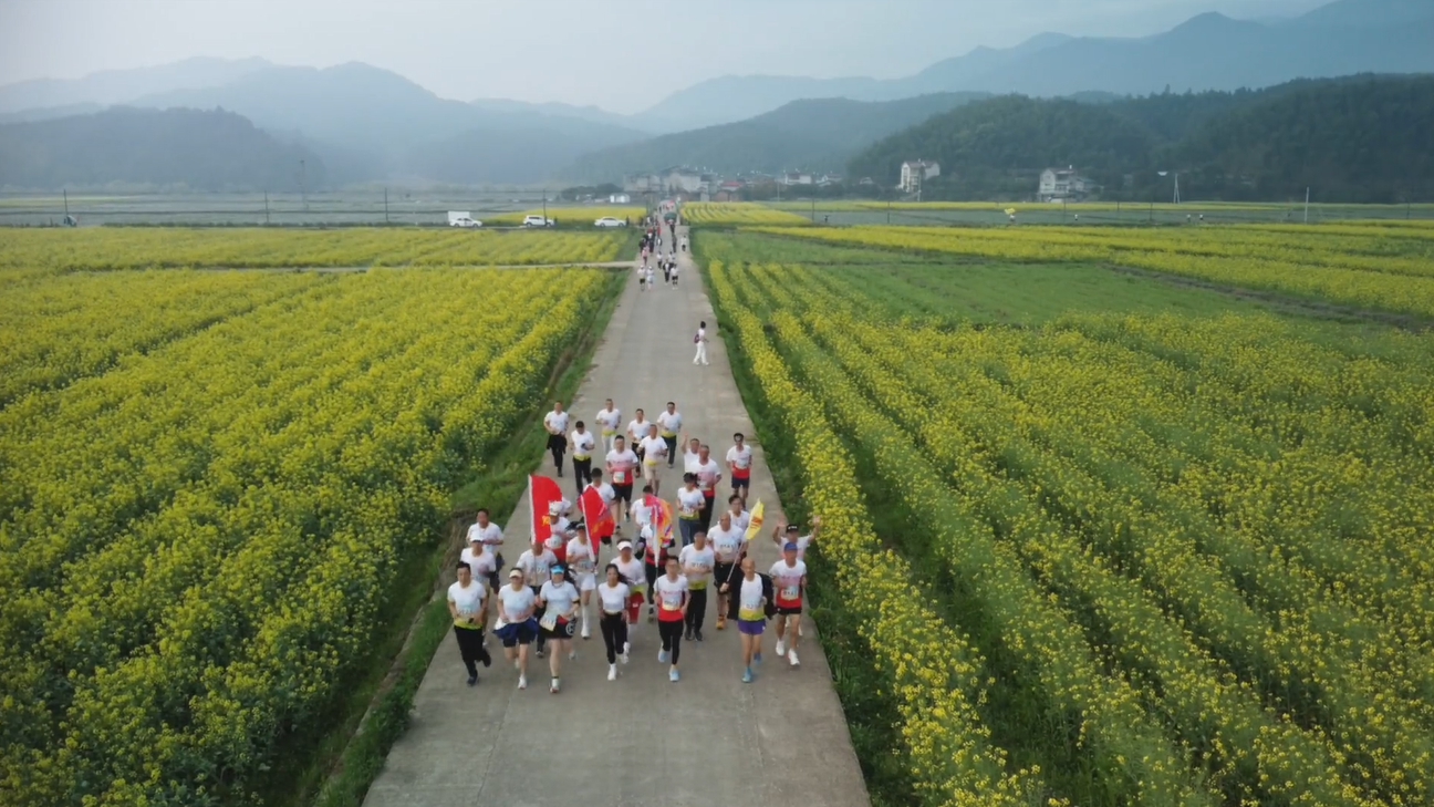 驱车骑行徒步只为了那片花海