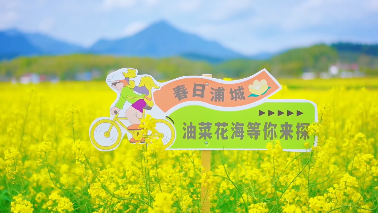 遇见金黄：花间美梦