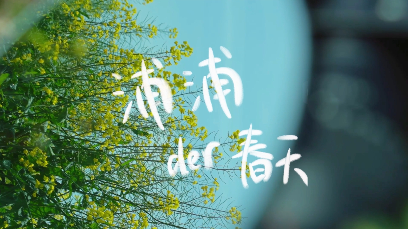 浦浦der春天