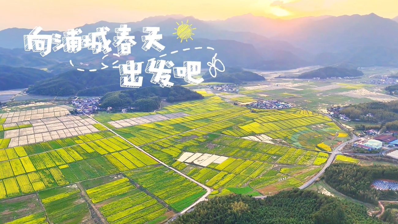 花海旋律
