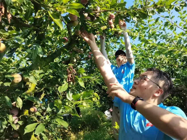 到田间地头劳动。