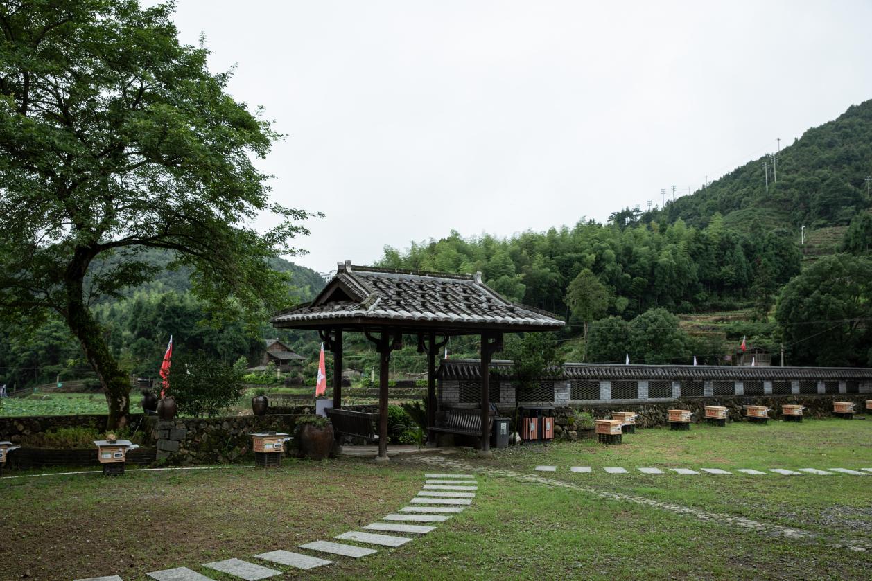 蜂箱布置場地。