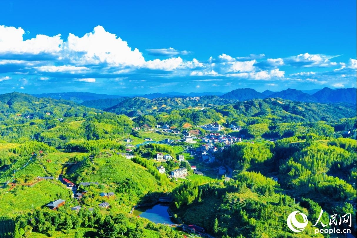 依托豐富的自然資源，大田縣大力發展茶旅特色產業。人民網 李唯一攝