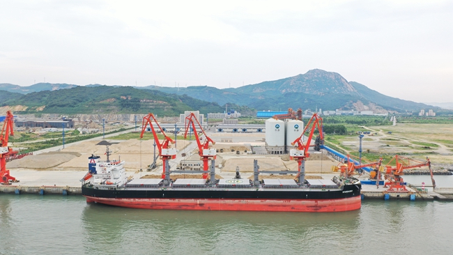 新加坡籍外轮靠泊漳州开发区后石港区3号泊位。林家成摄