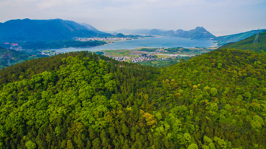 福州福清市石竹湖周边生态公益林。黄海摄