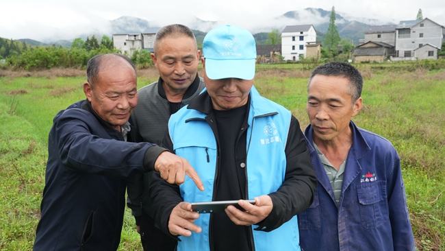 烟农参加全国烟草管理法律法规知识网络竞赛——武夷山市烟草专卖局陈怿昕拍摄(1).jpg