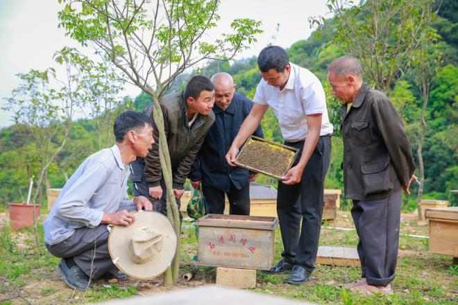 鐘亮生向蜂農傳授養蜂技術。修永清攝