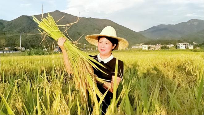 温晓红在田间劳作。李延奎摄