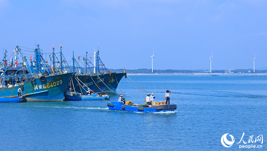 3.在澳角村，一艘漁船載著從海上捕獲的海鮮准備靠岸。人民網 李昌乾攝