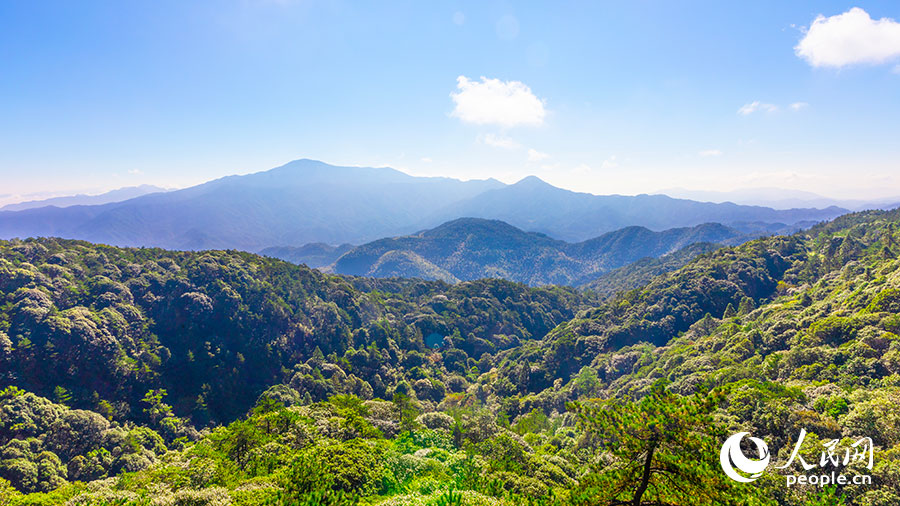 01 戴云山是闽中最高山峰。人民网记者 焦艳摄