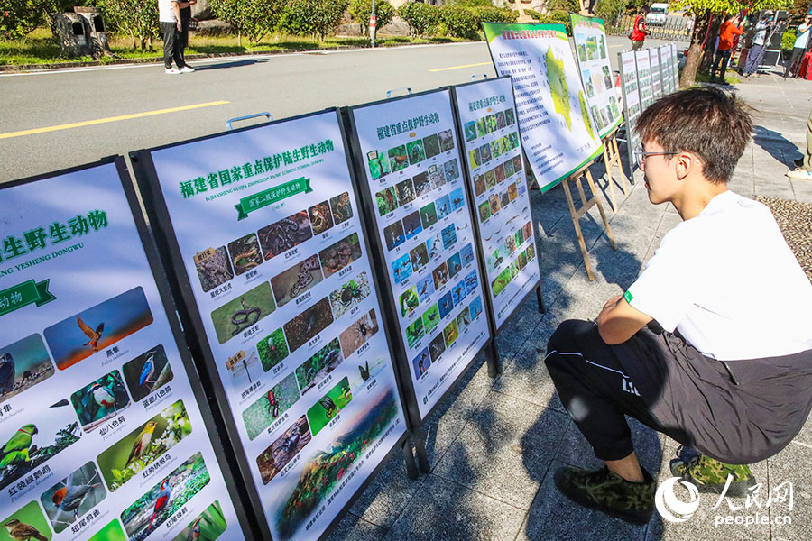 07 活动现场的展板详细介绍了福建省国家重点保护野生动植物物种。人民网记者 焦艳摄