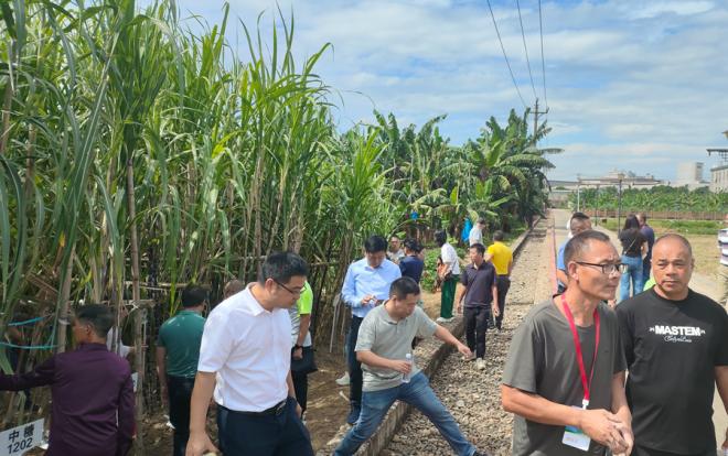 与会专家赴实地参观果蔗种植基地。姜帆摄