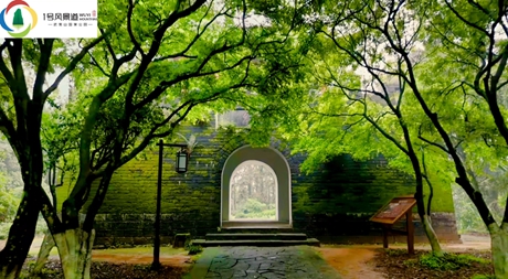 《越王台红叶的春天》邵武市熙春公园越王台，位于登高山顶峰——金鳌峰西面越王村，是闽越王无诸阅兵之所。