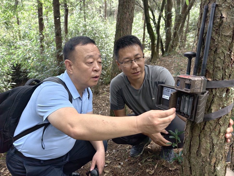 专家学者在森林中安装红外线相机，监测野生动物。