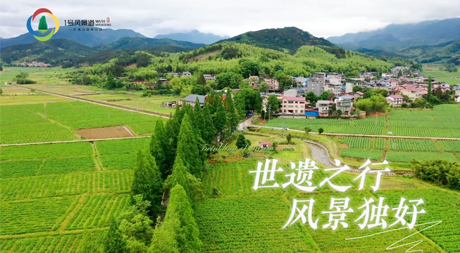 《世遺之行，風景獨好》每一處風景，都蘊藏詩意，每一次變化，都充滿驚喜，讓我們在這裡靜聽世遺1號風景道上發生的美好故事。</p