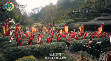 《我們的武夷山環帶》武夷山的青山灼灼、春雨淅淅，每一片山脈、水域、草木都承載著深厚的歷史文化。</p