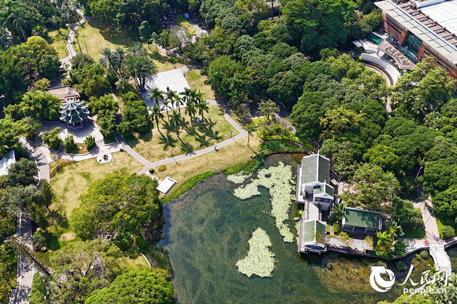 改造提升后的思明區中山公園。人民網記者 陳博攝