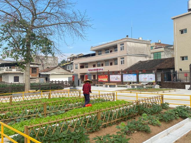 天寶鎮庭院種養農業一角。薌城區農業農村局供圖