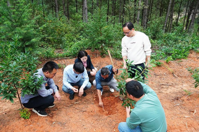 滬明兩地的食用菌專家在福建省尤溪縣森林居生態發展有限公司的鬆蔸茯苓種植基地現場指導