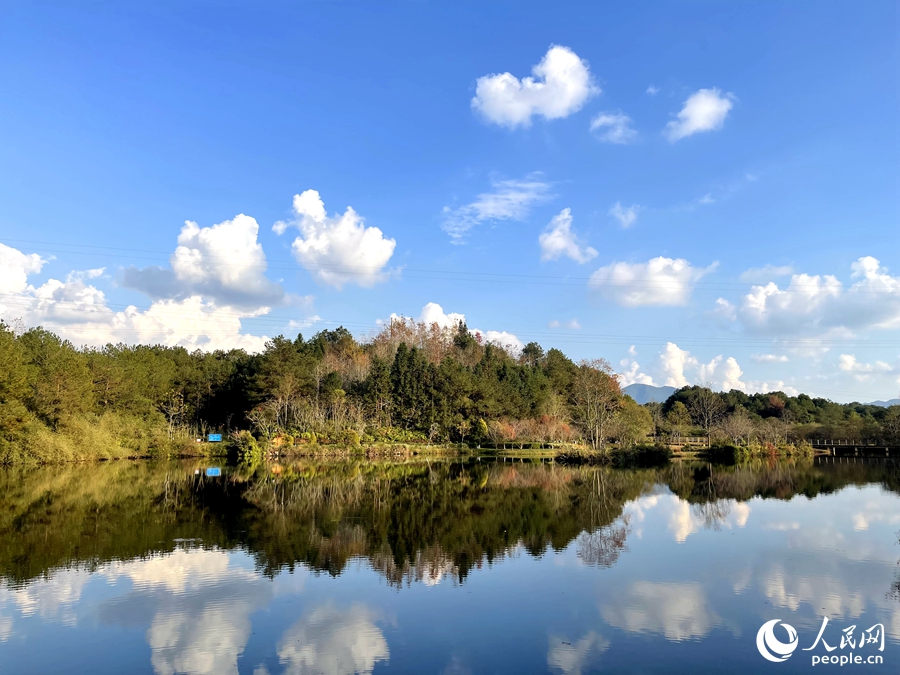 長汀汀江國家濕地公園。人民網 謝星宇攝