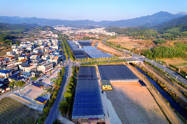 閩台花卉產業基地項目。