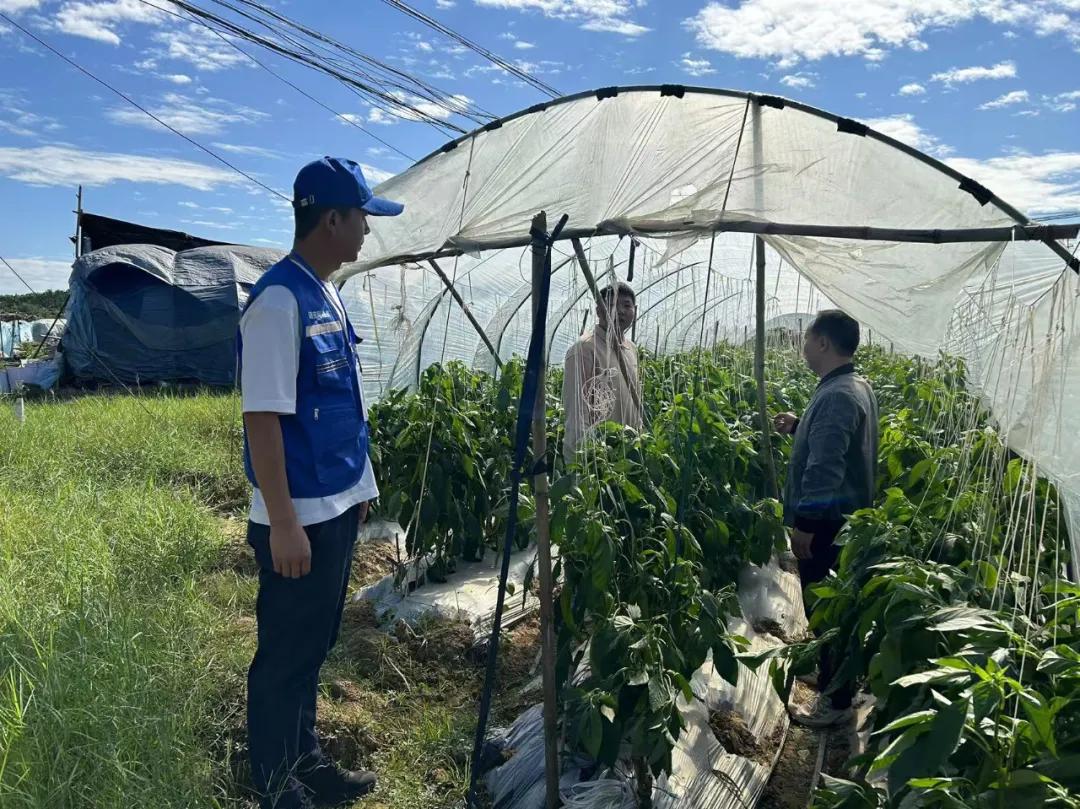 西潭镇综治中心工作人员到大棚蔬菜种植基地现场调解。诏安县融媒体中心