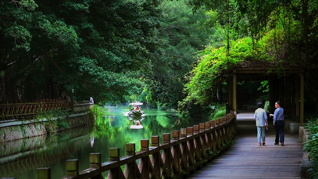 福舟悠游白馬河。陳霖攝