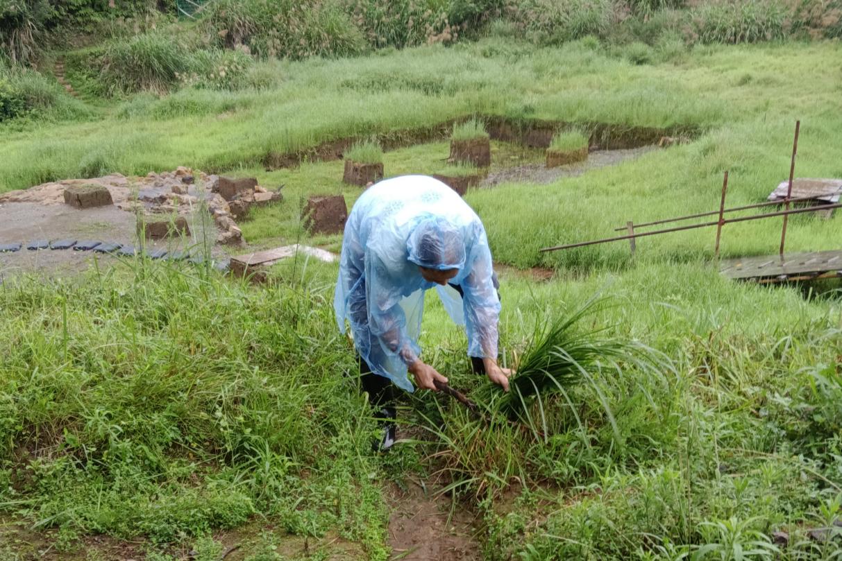 雨天，余庄林在冶鐵遺址忙碌。受訪者供圖