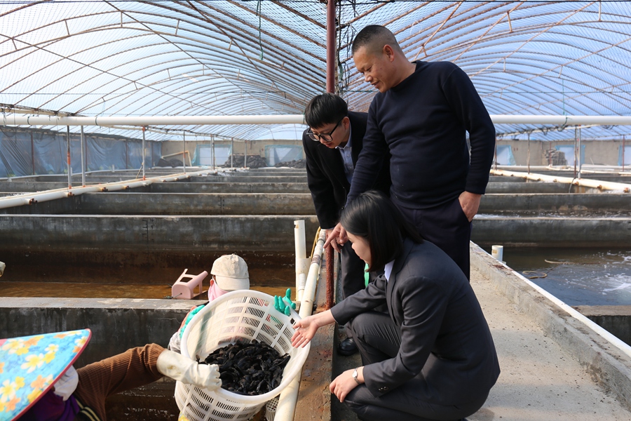 養殖戶吳壽藝向農行客戶經理介紹新購買魚苗情況。黃瑞金攝