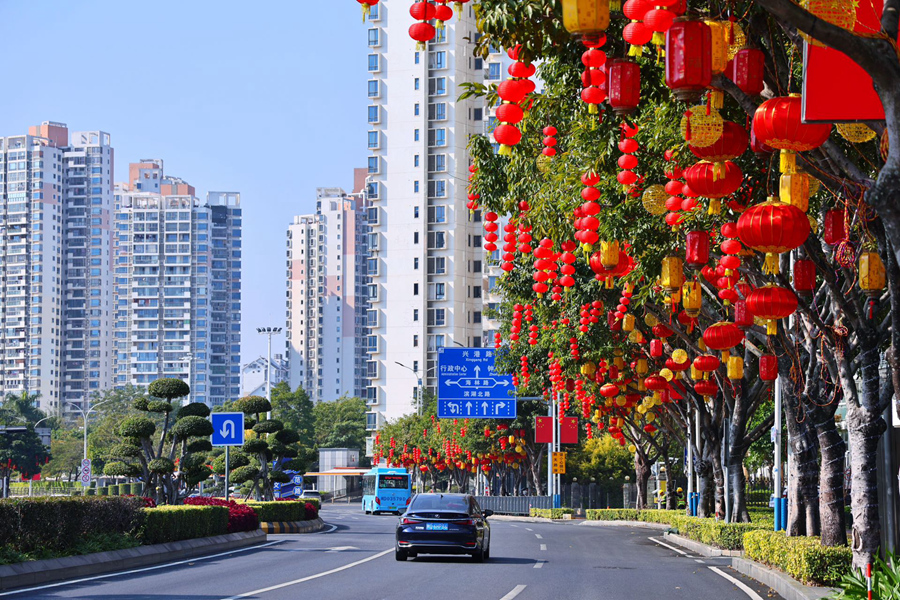 在廈門興港路上，琳琅滿目的燈籠挂滿枝頭。李嫻鳳攝