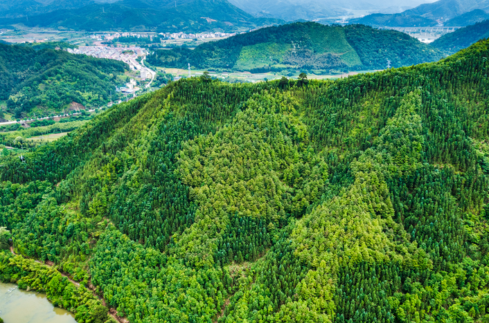 南平市綠發國有林場