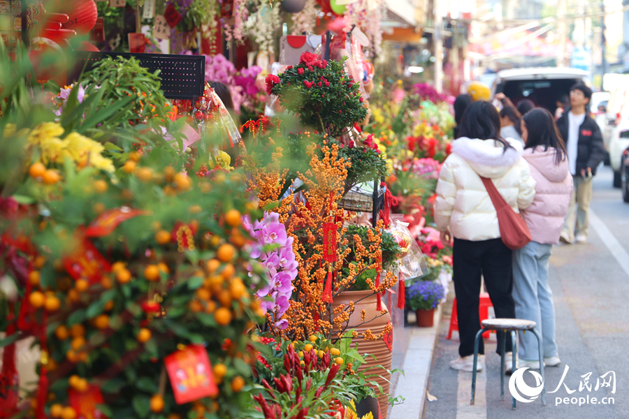 位于厦门市思明区溪岸路的花鸟市场人头攒动，热闹非凡。人民网记者 陈博摄