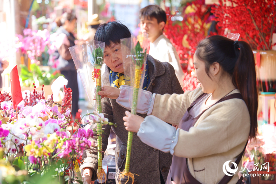 配有挂飾的龍竹象征著“節節高”，成為花市中的“搶手貨”。人民網記者 陳博攝