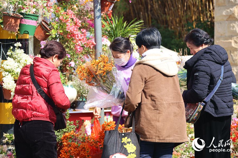 挑選干花的市民們與商家交流還價。人民網記者 陳博攝