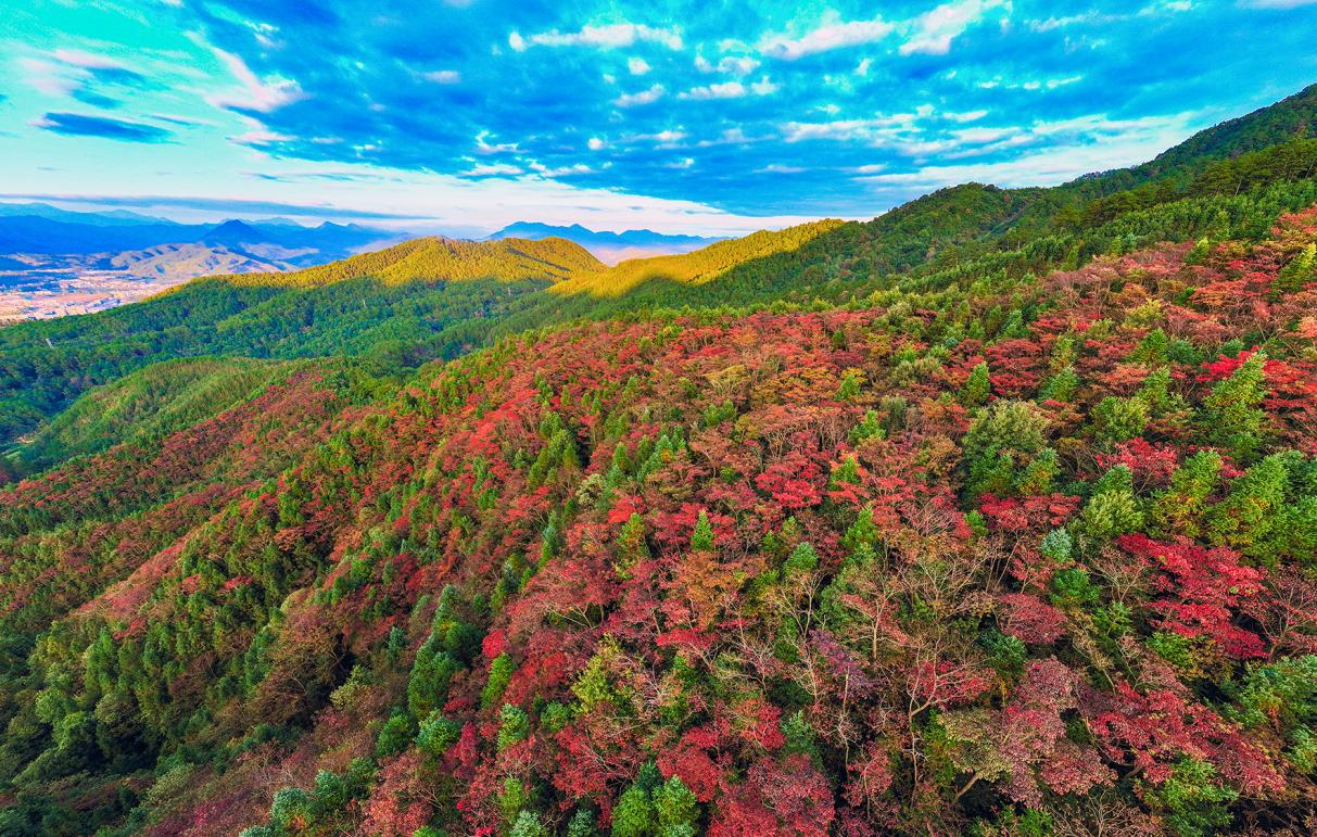 明溪雪峰山森林公园。黄海摄