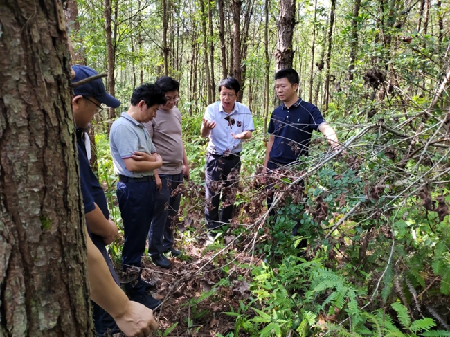 長汀縣水土保持中心開展現場調研