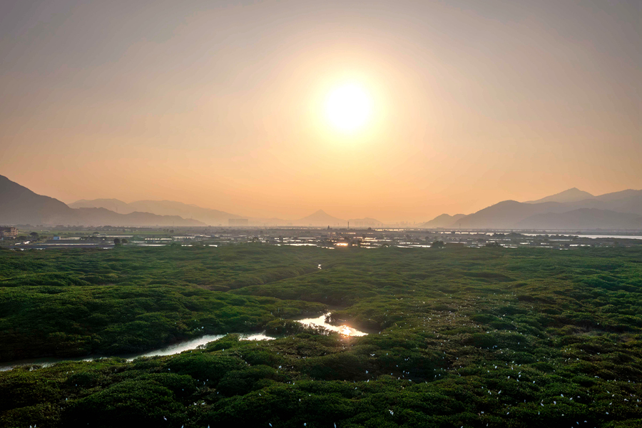 漳江口紅樹林國家級自然保護區是福建省首個國際重要濕地，位於雲霄縣漳江入海口。這裡有我國北回歸線北側種類最多、生長最好的紅樹林天然群落。方維攝