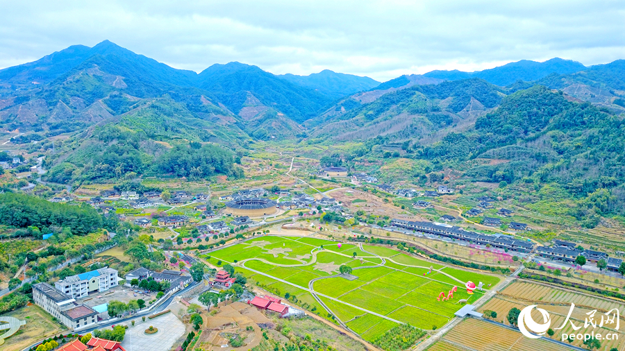 俯瞰福建土樓（華安）與油菜花田，春日美景盡收眼底。人民網 李昌乾攝