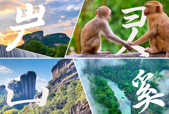 何以中国丨藏在武夷山的“野生”汉字