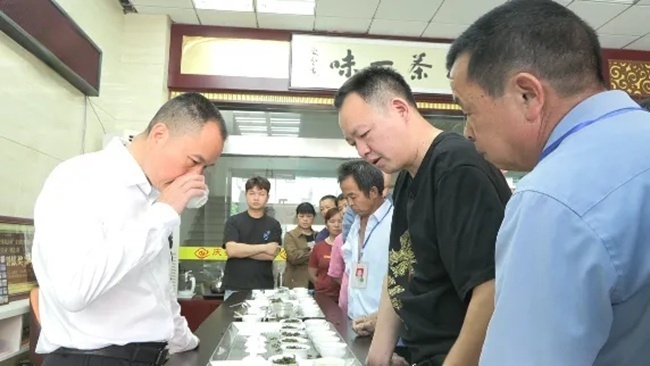 茶商品鑒鐵觀音春茶